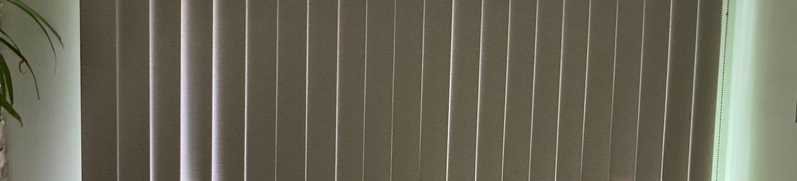 Vertical Blinds in Corte Madera