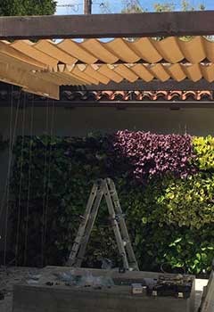 Motorized Pergola Canopy In Mill Valley