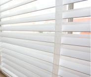 Venetian window blinds